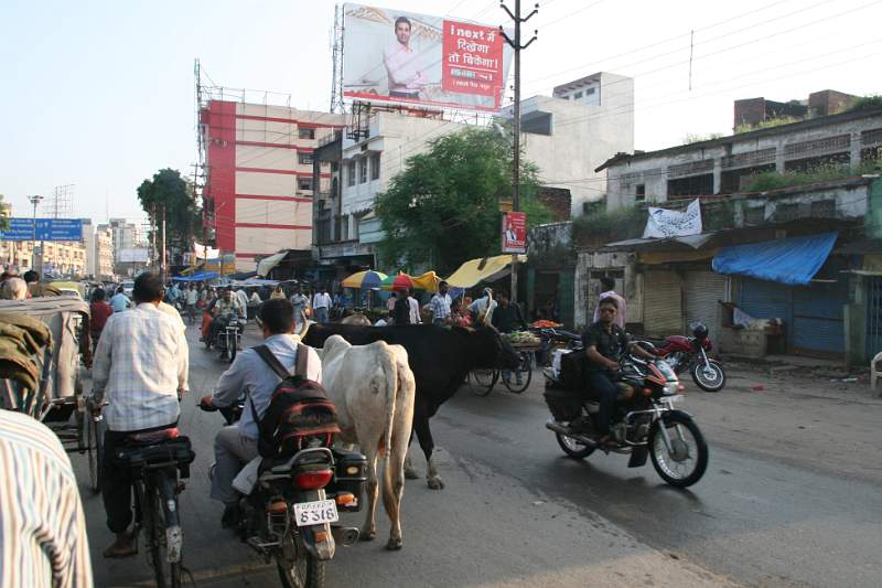 India & Nepal 2011 - 0737